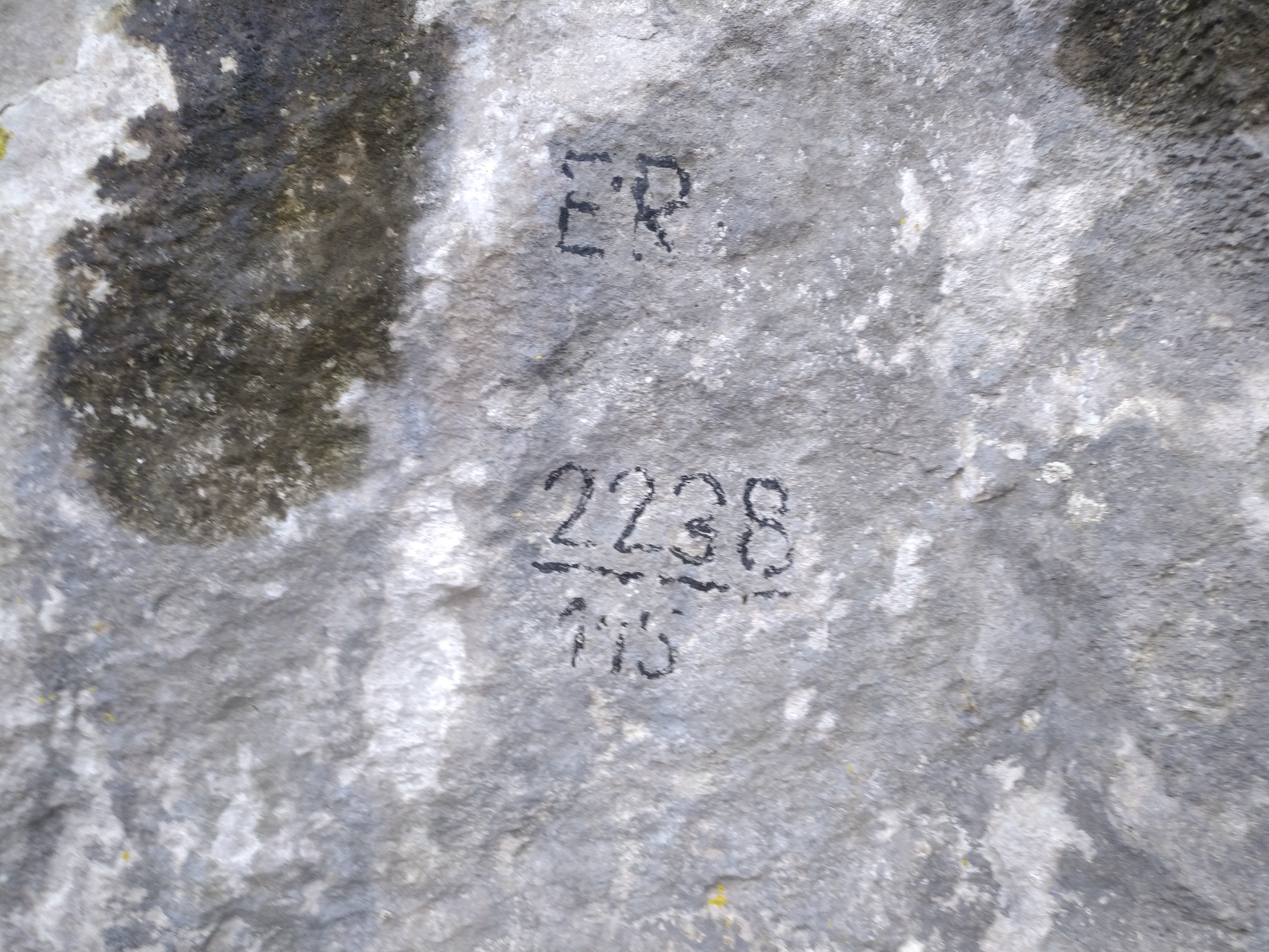 Pestera Socolovat Nr.17  - Image 2